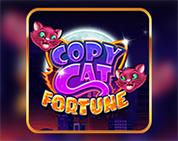 Copy Cat Fortune